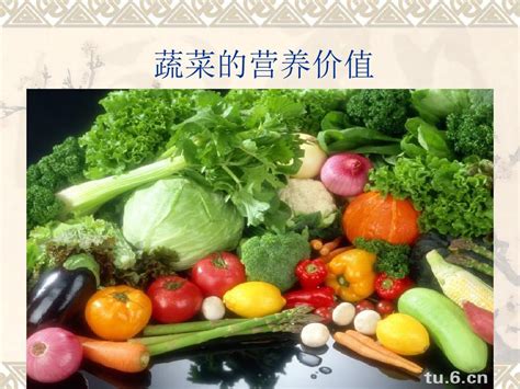 蔬菜的营养价值word文档在线阅读与下载无忧文档