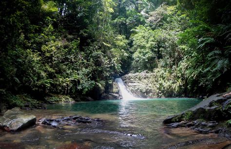 Rio Seco Waterfall: Destination Trinidad and Tobago | Tours, Holidays ...