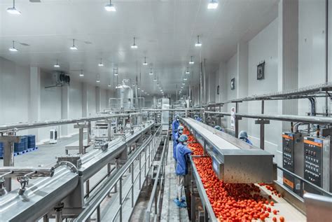 Hrs Psl Advanced Turnkey Process Line For Tomatoes