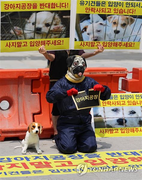 강아지공장을 반대합니다 연합뉴스