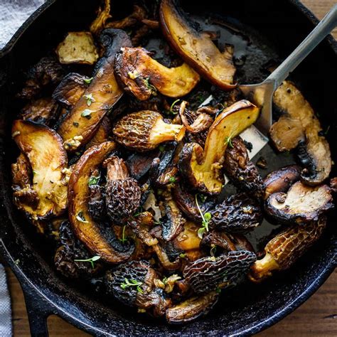 Mushrooms Recipes