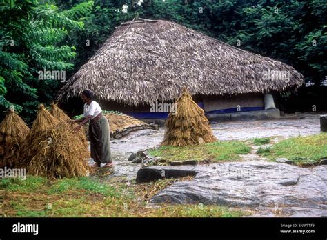 Kerala Hut House Hi Res Stock Photography And Images Alamy