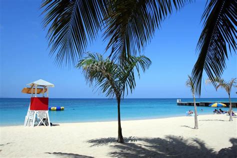 visiting montego bay jamaica cruise shop save