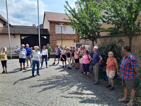 Forum 55 Plus Bereich Obernburg Auf Dem Geo Lehrpfad Blechkatzen Im