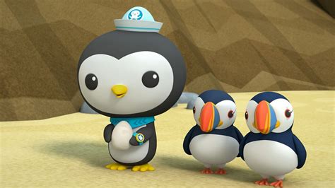 Octonauts Above And Beyond Series 1 24 Puffin Colony Bbc Iplayer