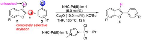 N Heterocyclic Carbene Palladiumii 1 Methylimidazole Complex