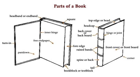 Book Anatomy Parts Of A Book Definitions Ibookbinding