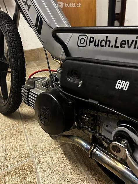 Puch Maxi S Cantone Appenzello Interno Tutti Ch