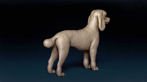 Large Poodle Base Mesh 3d Model Cgtrader