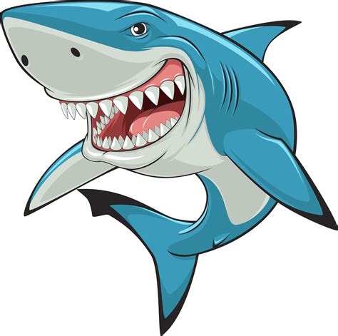 Shark Jaw Vector At Getdrawings Free Download