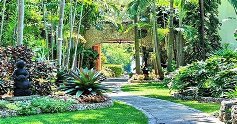 Fairchild Tropical Botanic Garden – The Society of the Four Arts