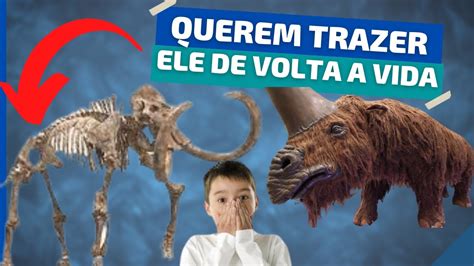 Animais Extintos Que Os Cientistas Querem Reviver Youtube