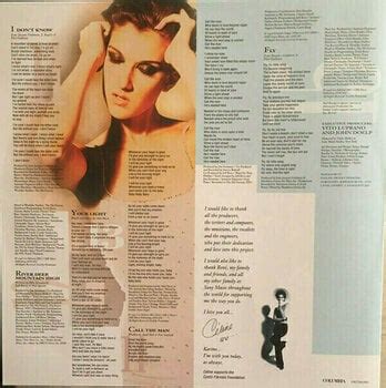 Celine Dion Falling Into You 2 LP Muziker