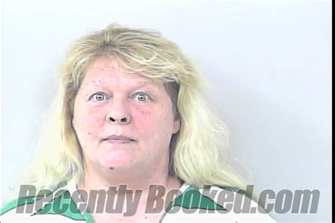 Recent Booking Mugshot For Lori Ann Clendenin In St Lucie County Florida