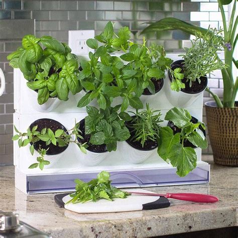 16 Countertop Herb Garden Ideas To Try This Year Sharonsable