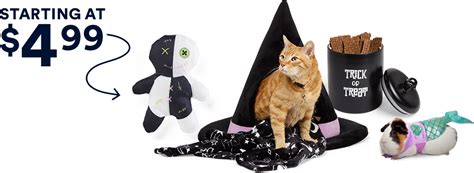 Pet Halloween Costumes Fun And Cute Outfits For All Pets Petco