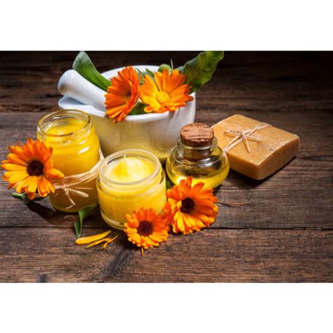 Calendula Officinalis Flower Extract Jqd B Skin Barrier Ingredients Ctkclip