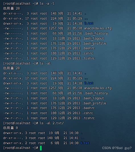 Linux常见命令 Csdn博客