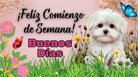 Feliz Comienzo De Semana Comienza Tu Semana Con Positividad