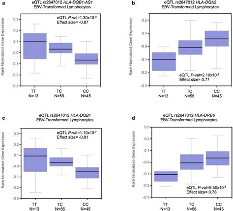 Cis Eqtl Analysis Of Nhl Associated Snps In Ebv Transformed Download Scientific Diagram