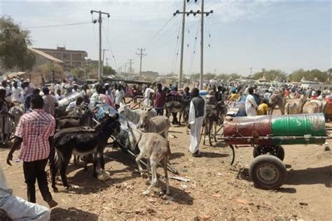 وكالة ألمانية تحذر من أزمة إنسانية في السودان دار الهلال