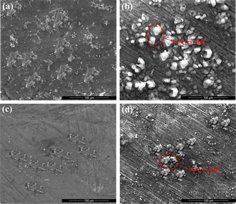 Electrochemical Corrosion Morphology Of Al Cu Mn Mg Fe Alloy In