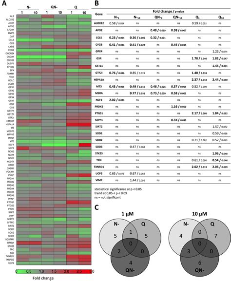 A Heat Map Presenting The Modulation Of Oxidative Stress Response And