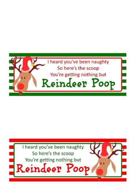 Reindeer Poop Reindeer Poop Poop Humor