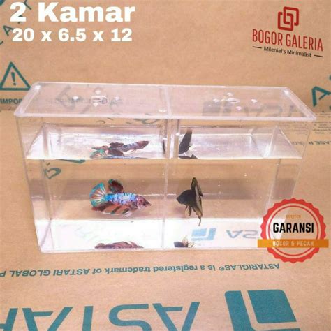 Jual Aquarium Soliter Akrilik Soliter Cupang Aquarium Akrilik