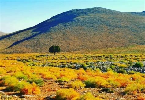 Nurhak Belediye Ba Kan Hangi Partiden Nurhak Belediyesi Hangi Parti