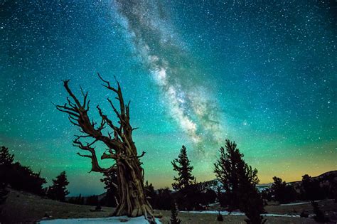 75 Photos Of Most Magnificent Night Sky Around The World