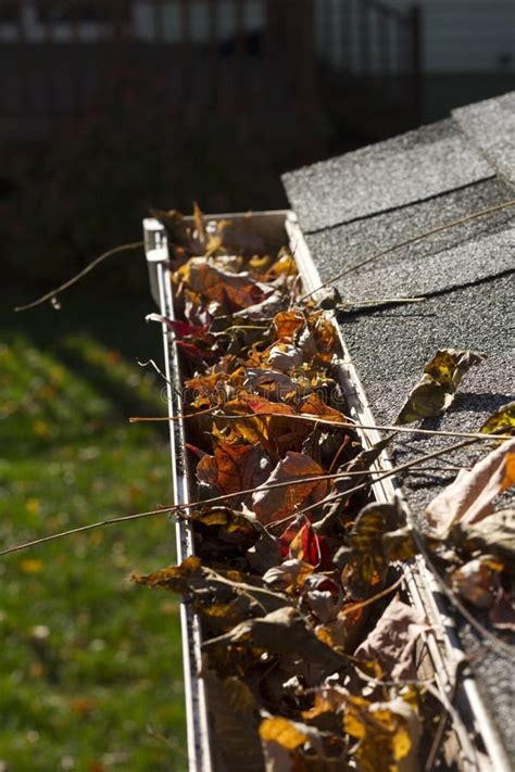 Leaves In Gutter Above Stock Photo Image Of Gutter Blockage 29760998