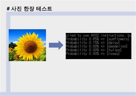 Opencv Tensorflow Intro