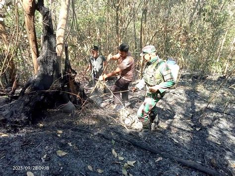 Berjibaku Padamkan Api Akibat Kahutla Di Polman Radarsulbar News