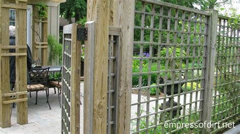 Ideas For Better Backyard Privacy Empress Of Dirt Privacy