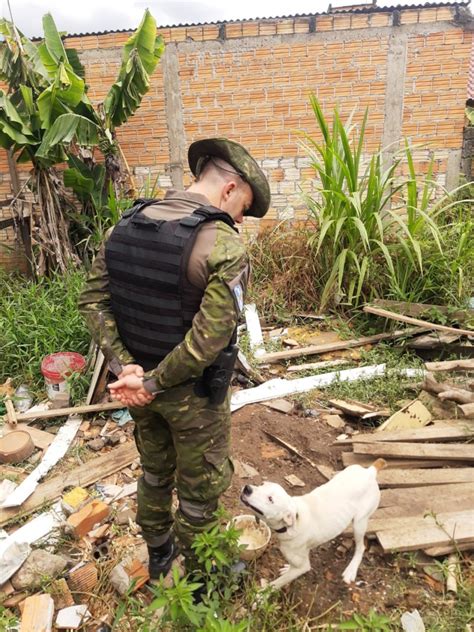 Homem é Preso Pela Patram De São Jerônimo Por Maus Tratos A Animais Brigada Militar