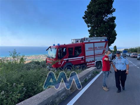 Torrenova Domato Lincendio In Contrada Piano Stinco Ingenti I Danni