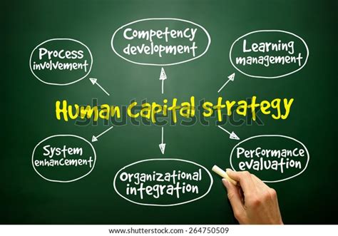 Human Capital Strategy Mind Map Business Stock Photo 264750509