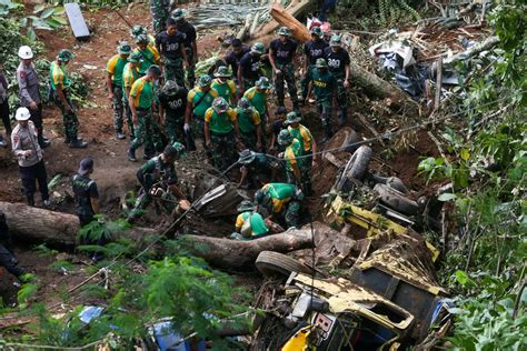 Bantu Evakuasi Korban Gempa Cianjur Tni Ad Kerahkan Anjing Pelacak