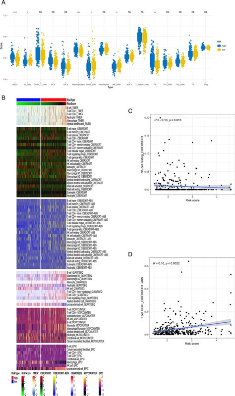 Immune Infiltration Scene A Ssgsea Scores Of Immune Cell Infiltration