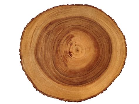 Rustic Cutting Board Tree Cutting Board Wood Cutting Board Etsy