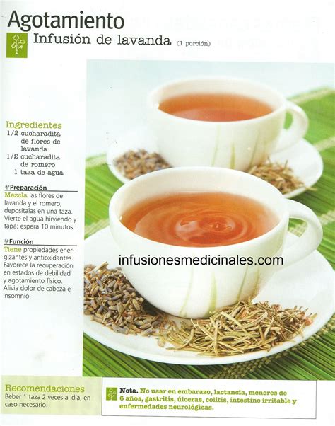 Conoce Recetas De Infusiones Y T S Para Combatir El Agotamiento Y La