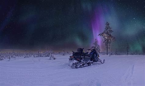 Scenic Very Frozen Snowy Young Pine Tree Forest Under Aurora Skies