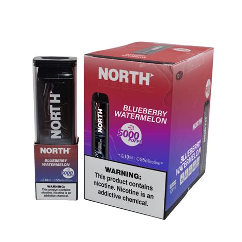 North 10ml 5000 Puff Rechargeable Disposable Vape Blueberry