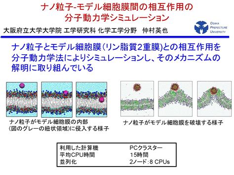 D3 Center Osaka University Blog Archive ナノ粒子 モデル細胞膜間の相互作用の分子動力学