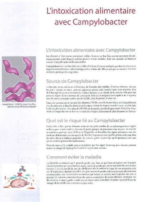 Campylobacter Sécurité alimentaire Luxembourg