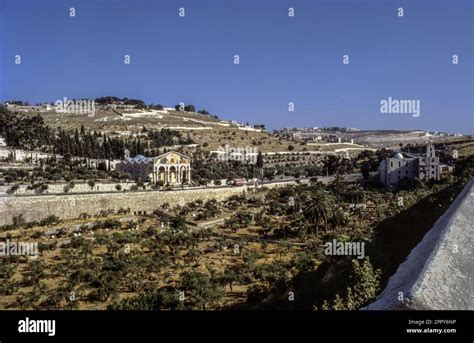 The Garden of Gethsemane from the Mount of Olives - Jerusalem - Israel ...