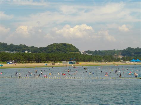 海水浴海の公園公式サイト｜公益財団法人 横浜市緑の協会