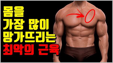 어깨에 많은 문제를 만들어내는 상체의 골칫덩이 소흉근 Youtube