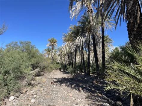 Los Mejores Senderos Y Rutas En Reserva De La Bi Sfera A El Vizca No